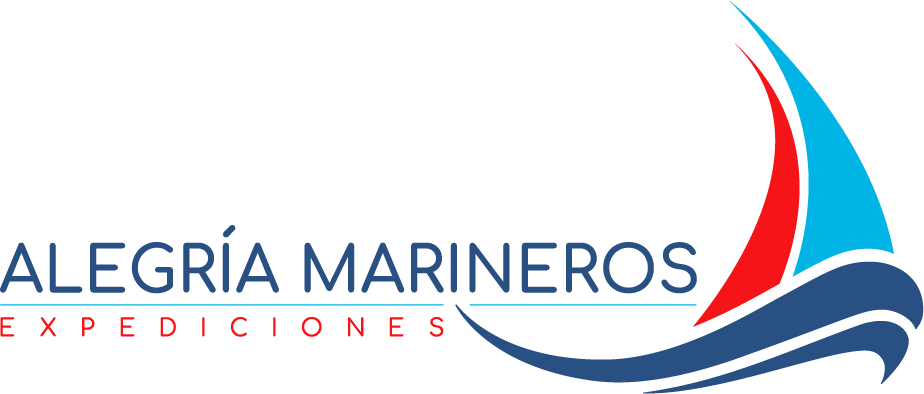 cropped cropped logo am.png