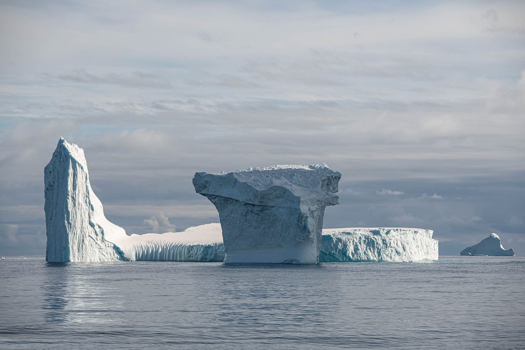 taller polar 24 08