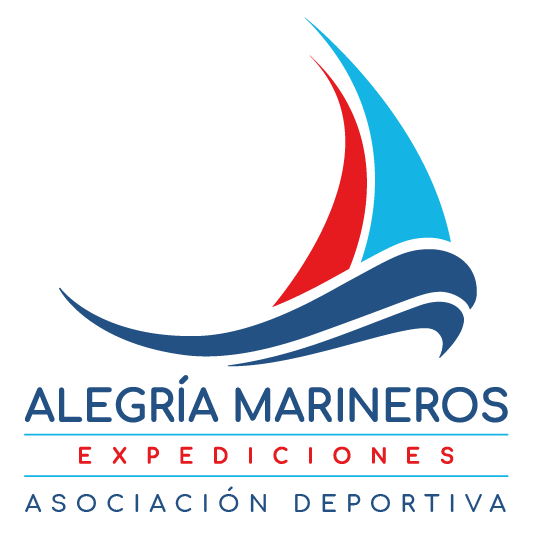 logo ame mesa de trabajo 1