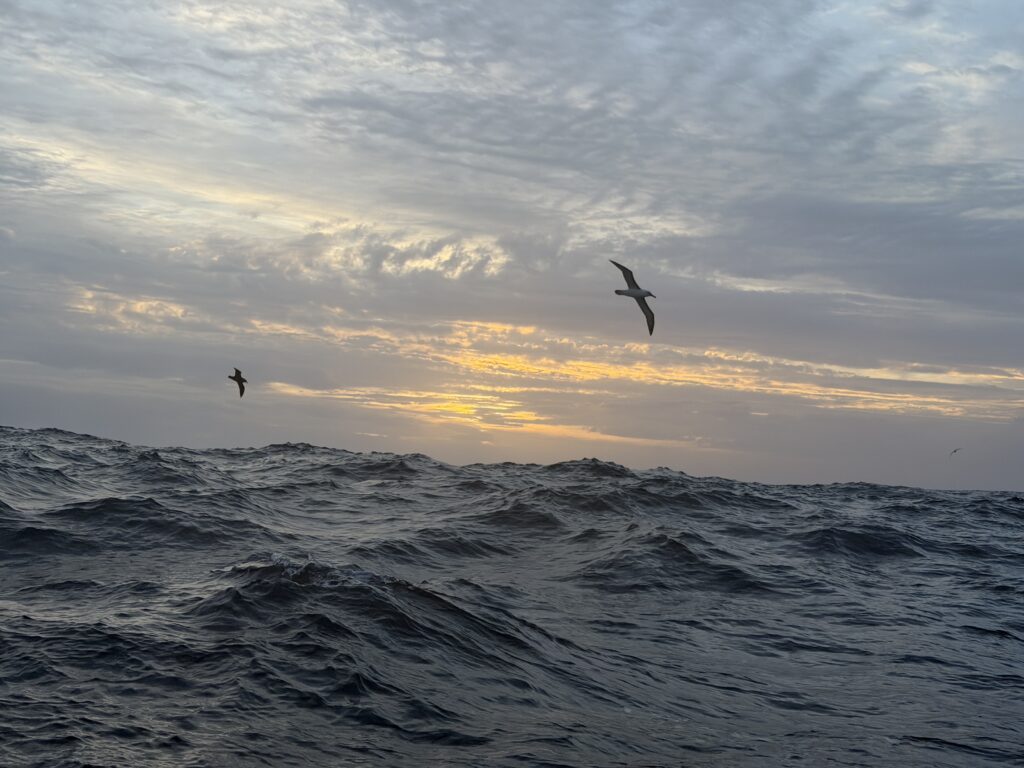 diario del capitan 22 marzo