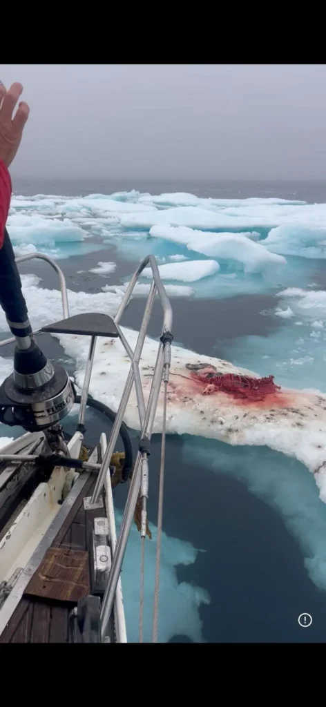artic northwestpassage sailing